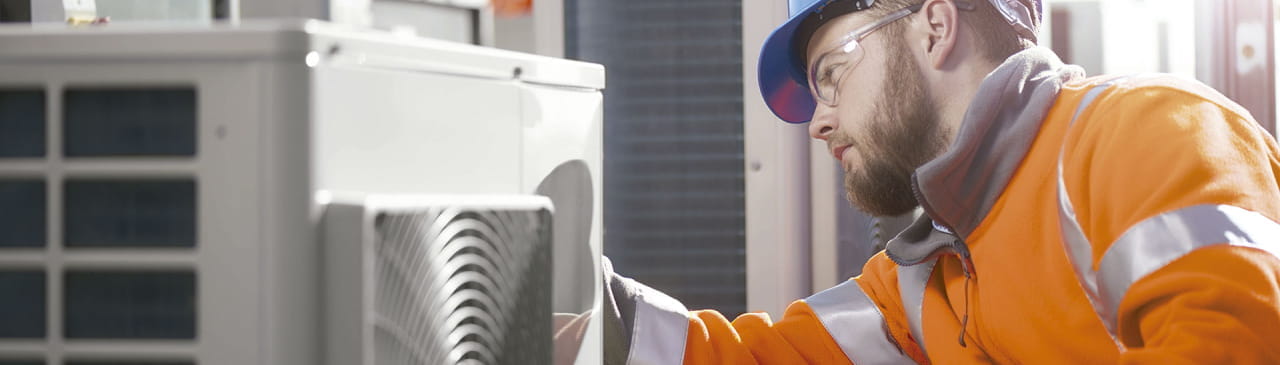 Imagen de la primera columna